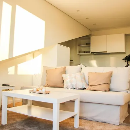 Terro Collection - Alcaide * براغا